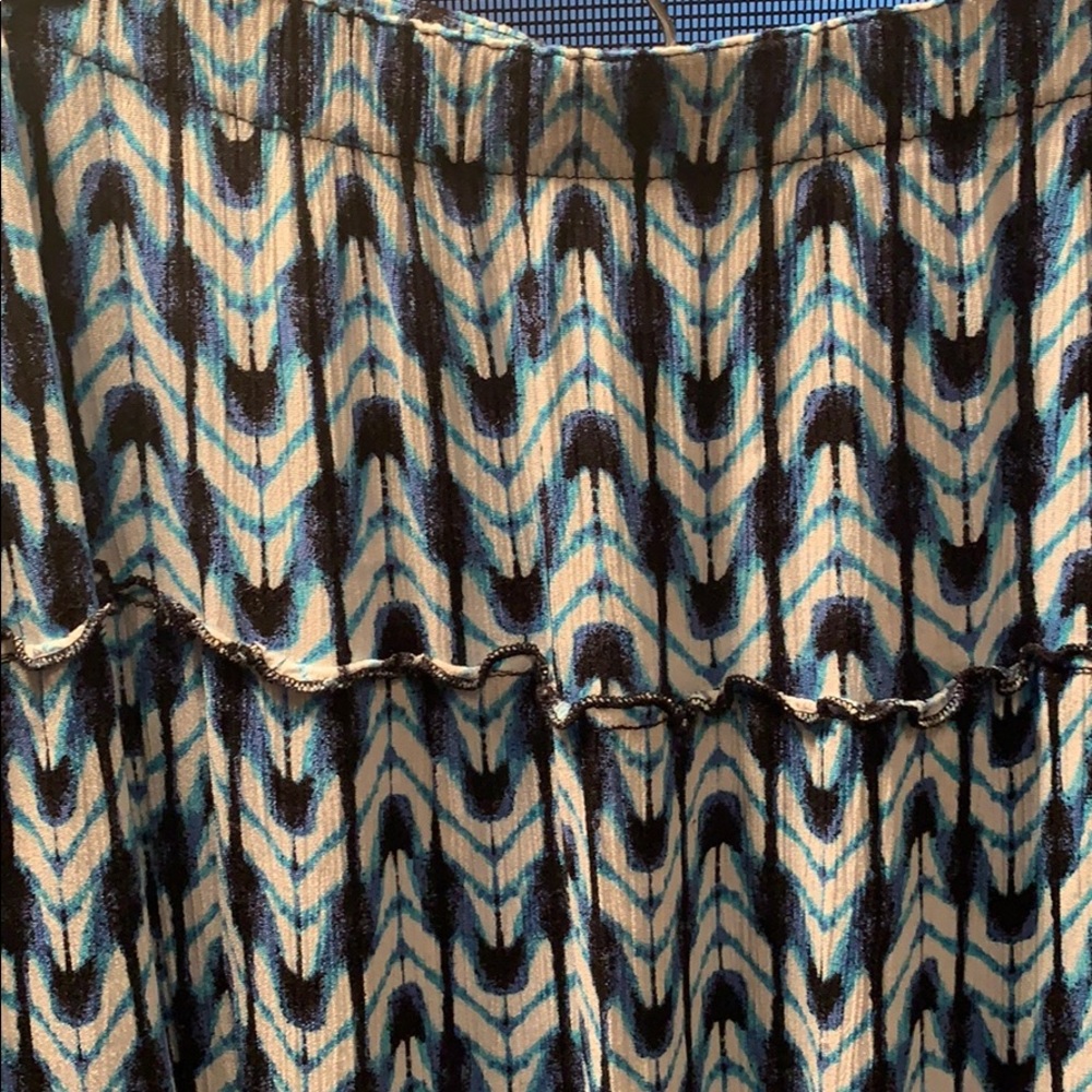 Gorgeous Full  Dressbarn Skirt